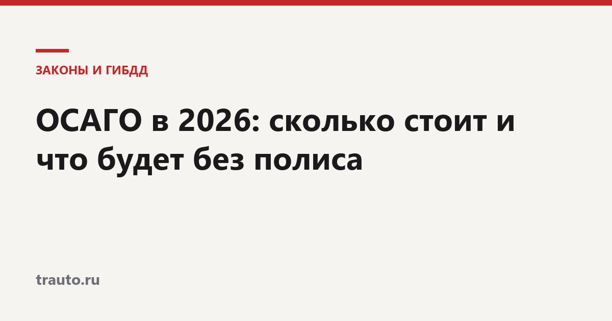 ОСАГО: сколько стоит и что будет без полиса